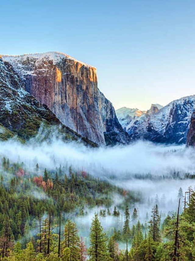 Yosemite National Park : A Place Where Nature Takes Your Breath Away”